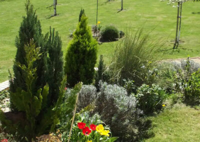 Jardin gîte les Noisetiers Auvergne